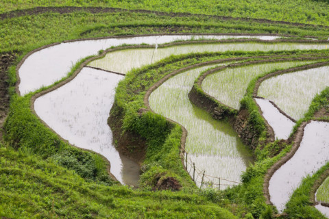 Guizhou,Huang guo shu Waterfall,Waterfall,Huangguoshu,Huang guo shu,Water,