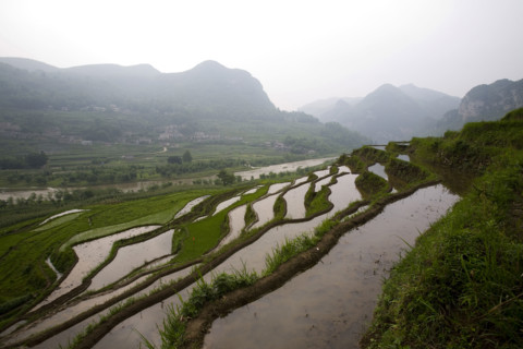Guizhou,Huang guo shu Waterfall,Waterfall,Huangguoshu,Huang guo shu,Water,