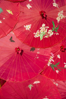 Yunnan,Yunnan Minzu Garden