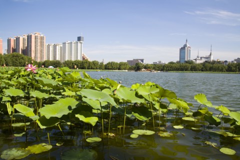 Lotus Pond Park,Beijing