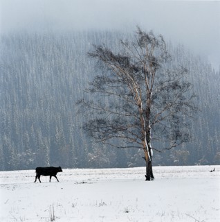 Xinjiang