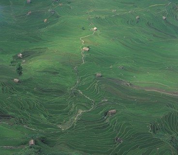 Yunnan,Yuanyang,