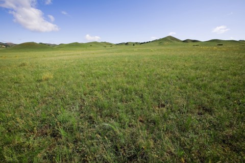 Bashang grassland in Inner Mongolia