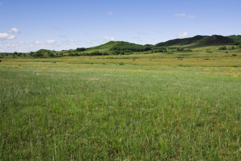 Bashang grassland in Inner Mongolia