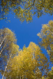 Xinjiang Province, Aletai,