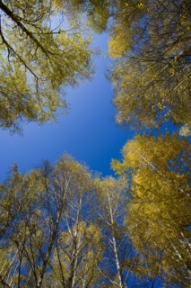 Xinjiang Province, Aletai,