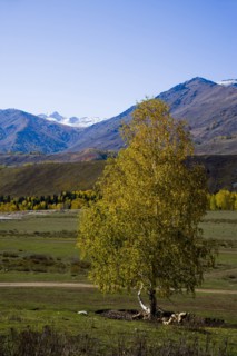 Xinjiang Province, Aletai,