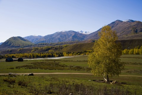 Xinjiang Province, Aletai,