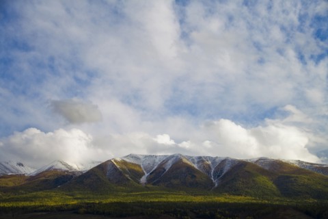 Altay Xinjiang, White Haba,