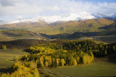 Altay Xinjiang, White Haba,