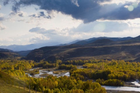 Altay Xinjiang, White Haba,