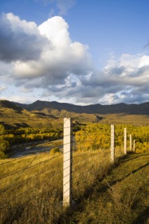 Altay Xinjiang, White Haba,