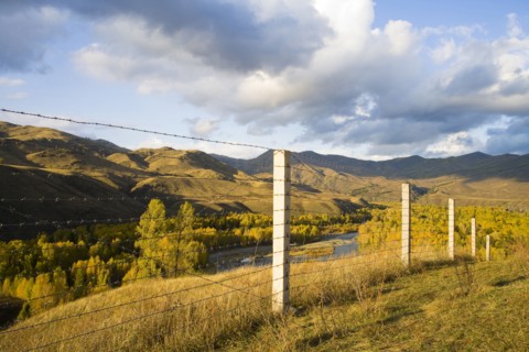 Altay Xinjiang, White Haba,