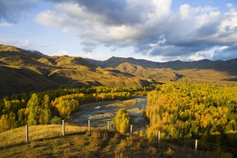 Altay Xinjiang, White Haba,