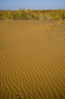 Xinjiang Province, Aletai,