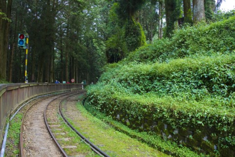 Taiwan, Ali, Botanical Garden,