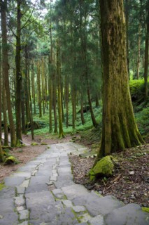 Taiwan, Ali, Botanical Garden,