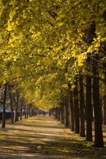 Beijing