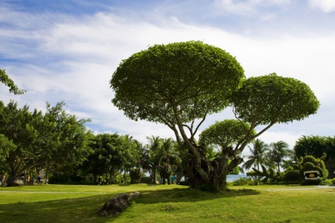 Sanya,Hainan