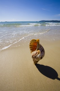 Sanya,Hainan