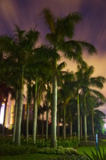 Haikou,Wanlv Garden
