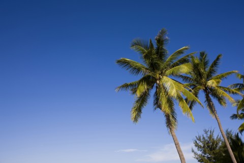 Sanya,Hainan