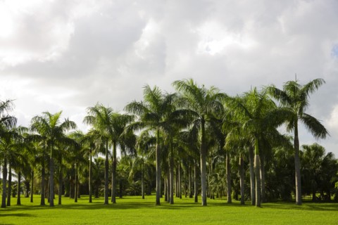 Haikou, Wanlv Garden