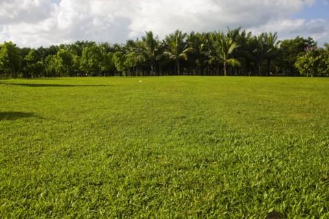 Haikou, Wanlv Garden
