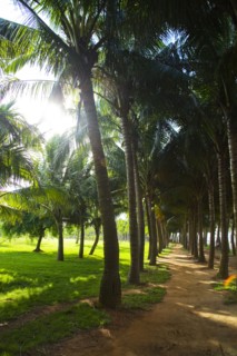 Haikou, Wanlv Garden