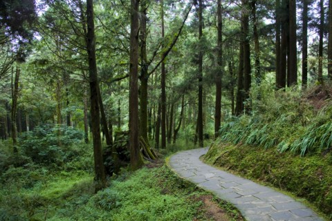 Taiwan, Ali, Botanical Garden,
