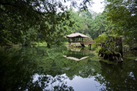 Taiwan, Ali, Botanical Garden,