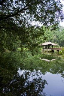 Taiwan, Ali, Botanical Garden,
