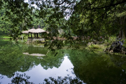 Taiwan, Ali, Botanical Garden,