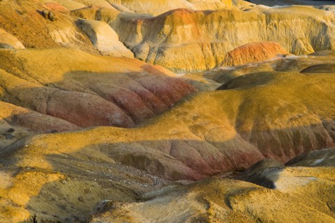 Xinjiang Wucaiwan