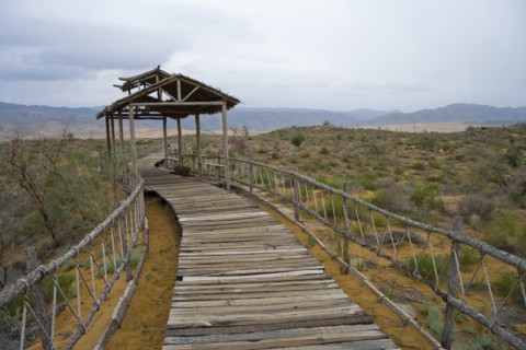 Ningxia