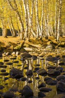 Xinjiang Province, Aletai,