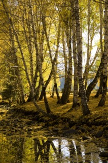 Xinjiang Province, Aletai,