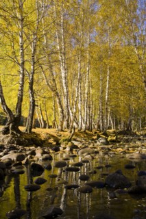 Xinjiang Province, Aletai,