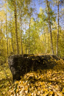 Xinjiang Province, Aletai,