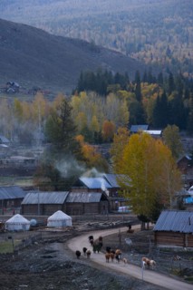 Altay Xinjiang, White Haba,