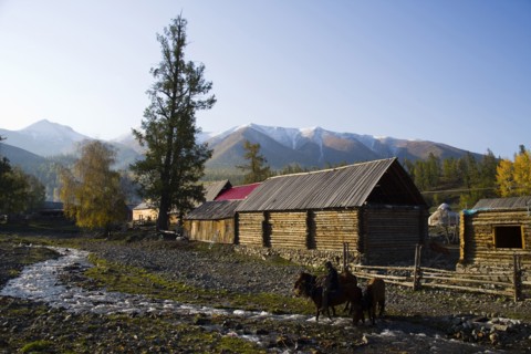Altay Xinjiang, White Haba,