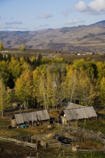 Altay Xinjiang, White Haba,