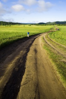 Bashang grassland in Inner Mongolia