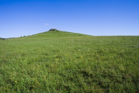 Bashang grassland in Inner Mongolia