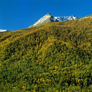 Sichuan Province