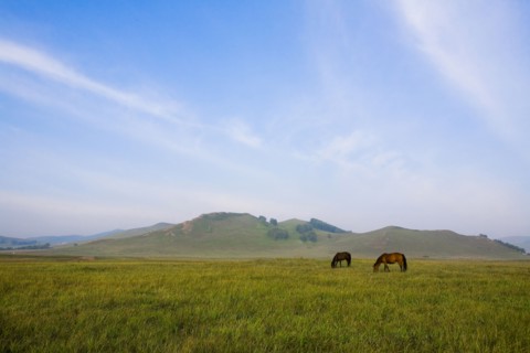 Bashang grassland in Inner Mongolia