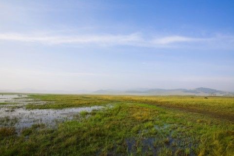 Bashang grassland in Inner Mongolia