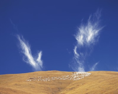 Tibet, The Qinghai-Tibet Plateau