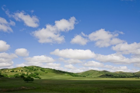 Bashang grassland in Inner Mongolia