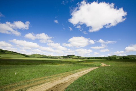 Bashang grassland in Inner Mongolia